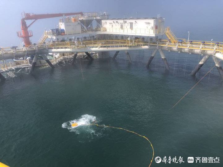 揭開“經海001號”神秘面紗！壹粉探訪深遠海智能網箱