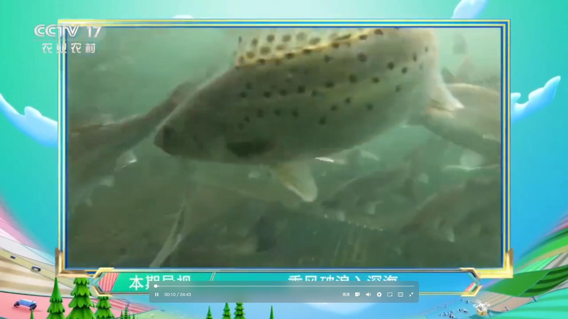 乘風(fēng)破浪入深海｜經(jīng)海漁業(yè)亮相CCTV-17《超級農(nóng)人秀》